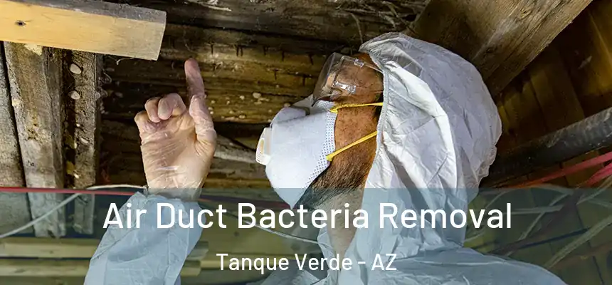 Air Duct Bacteria Removal Tanque Verde - AZ