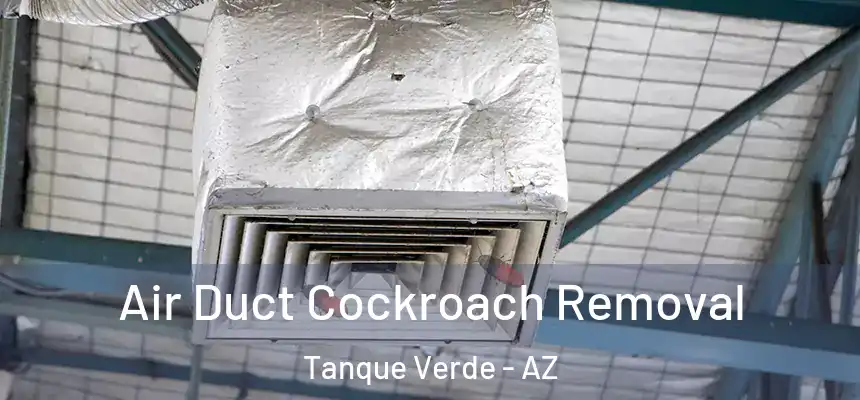 Air Duct Cockroach Removal Tanque Verde - AZ