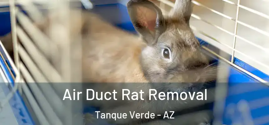 Air Duct Rat Removal Tanque Verde - AZ
