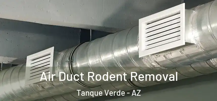 Air Duct Rodent Removal Tanque Verde - AZ