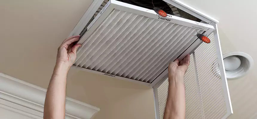Our Insect Removal from Air Ducts Services in Tanque Verde, AZ