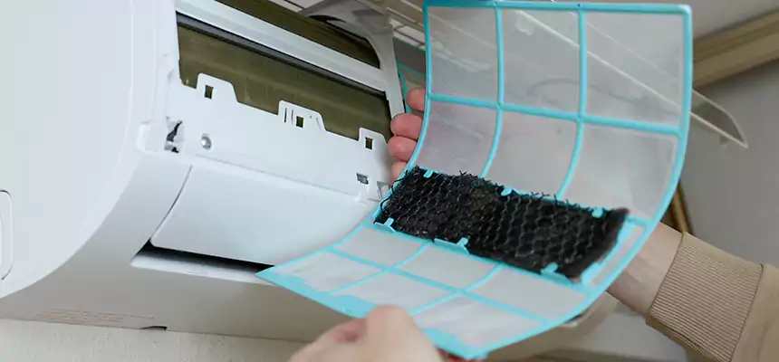 Gentle Ductwork Odor-Control Pet Dander Duct Cleaning in Tanque Verde, AZ