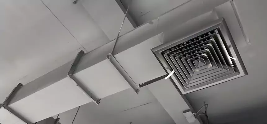 Our Rodent Droppings In Vents Services in Tanque Verde, AZ