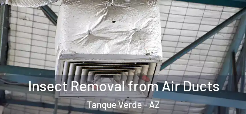 Insect Removal from Air Ducts Tanque Verde - AZ