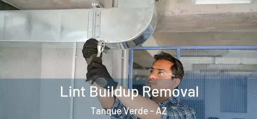  Lint Buildup Removal Tanque Verde - AZ
