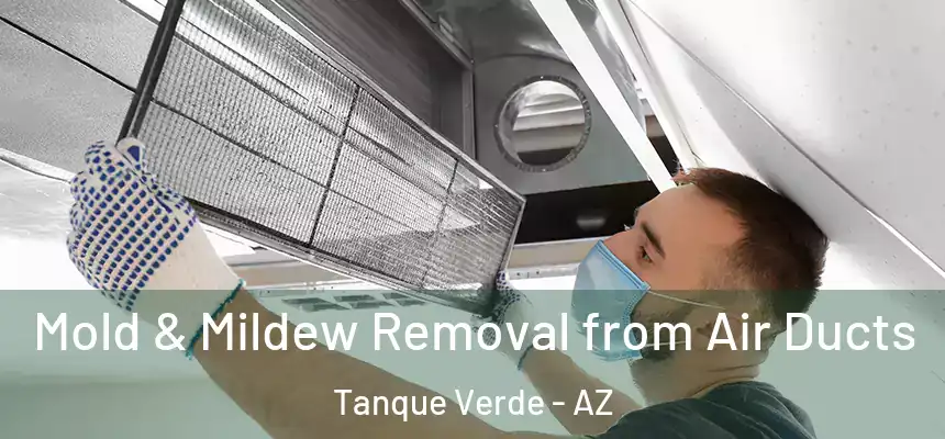Mold & Mildew Removal from Air Ducts Tanque Verde - AZ