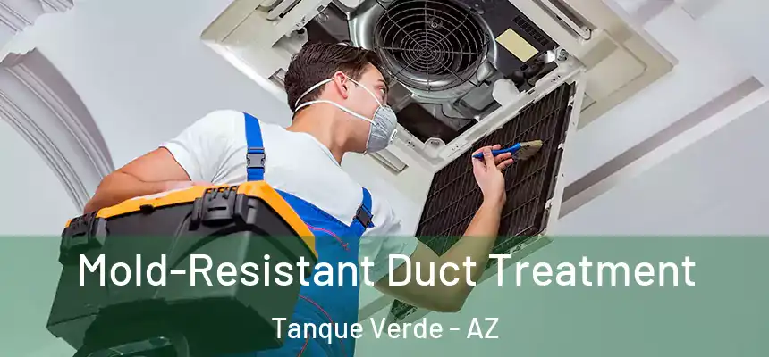 Mold-Resistant Duct Treatment Tanque Verde - AZ