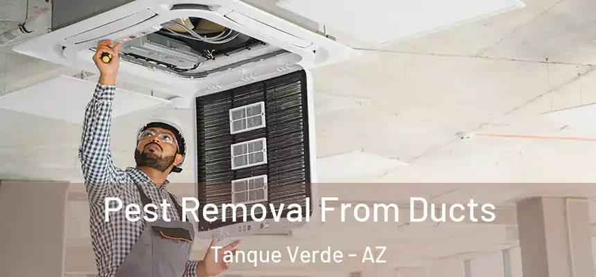Pest Removal From Ducts Tanque Verde - AZ