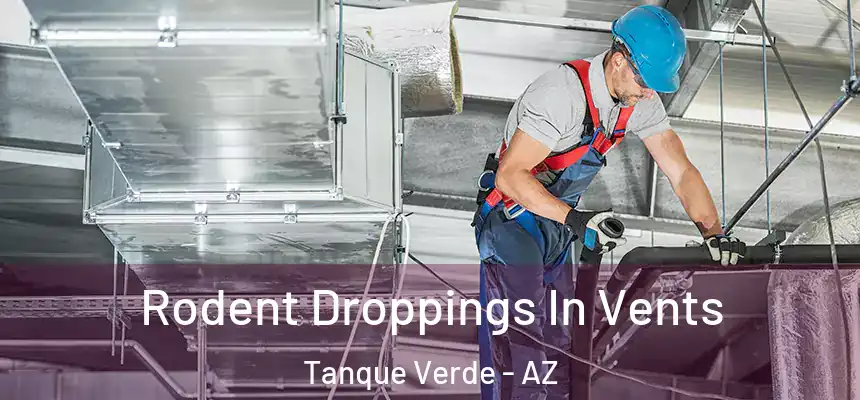 Rodent Droppings In Vents Tanque Verde - AZ