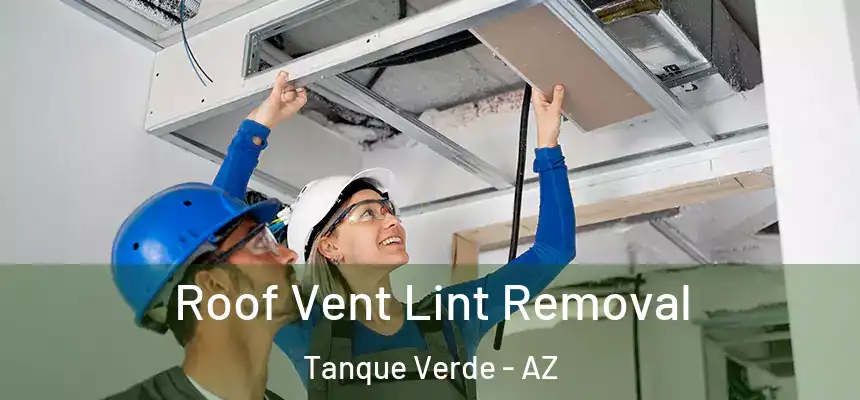 Roof Vent Lint Removal Tanque Verde - AZ