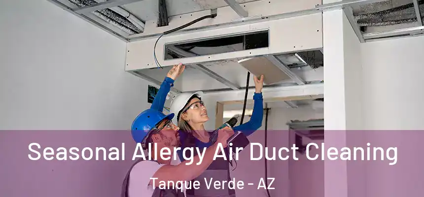  Seasonal Allergy Air Duct Cleaning Tanque Verde - AZ