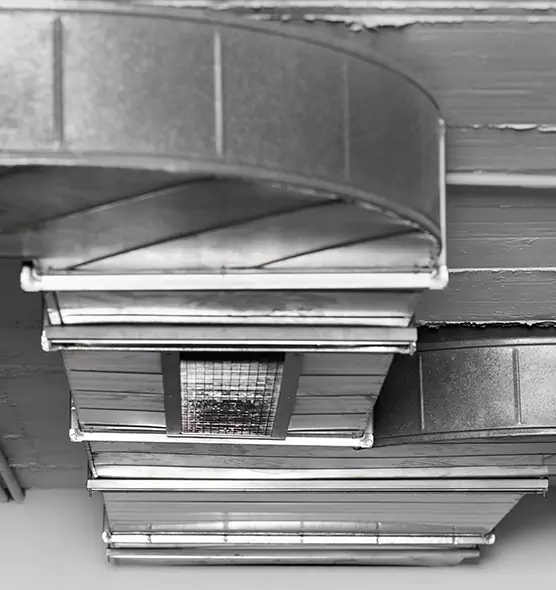 Professional Air Duct Pet Hair Removal in Tanque Verde, AZ