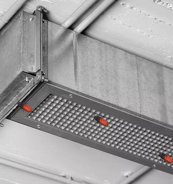 Affordable Insect Removal from Air Ducts in Tanque Verde, AZ