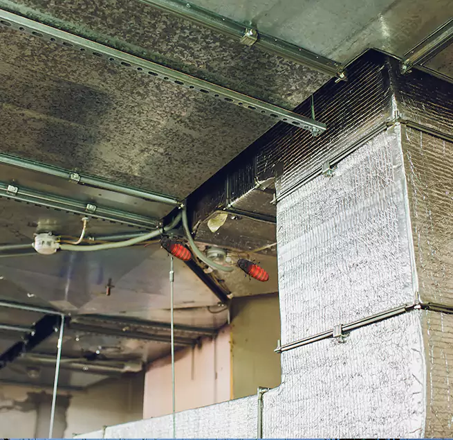 Why Homeowners & Businesses Trust Us in Tanque Verde, AZ?