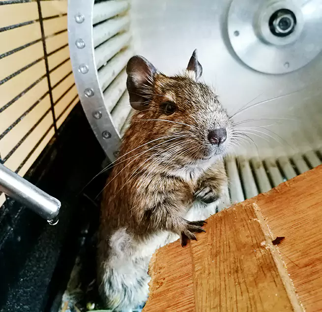 Why Homeowners & Businesses Trust Us Tanque Verde, AZ