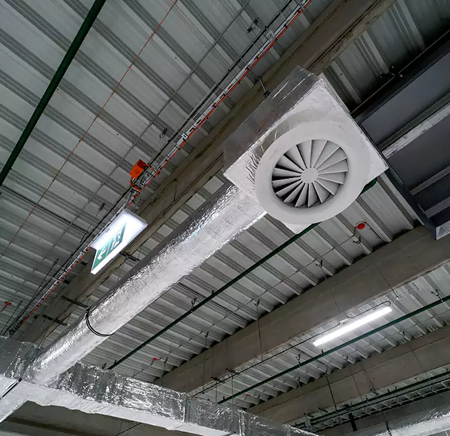 Why Homeowners & Businesses Trust Us in Tanque Verde, AZ