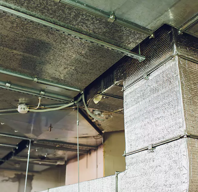 Why Homeowners & Businesses Trust Us in Tanque Verde, AZ?