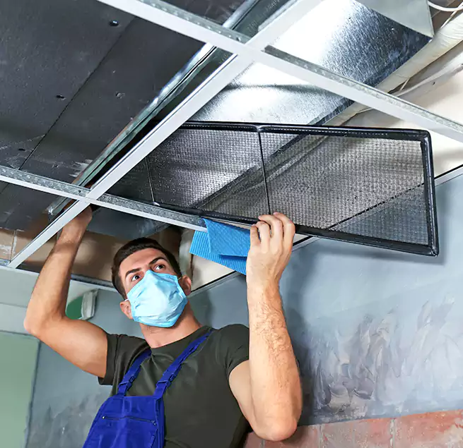 Why Homeowners Businesses Trust Us in Tanque Verde, AZ